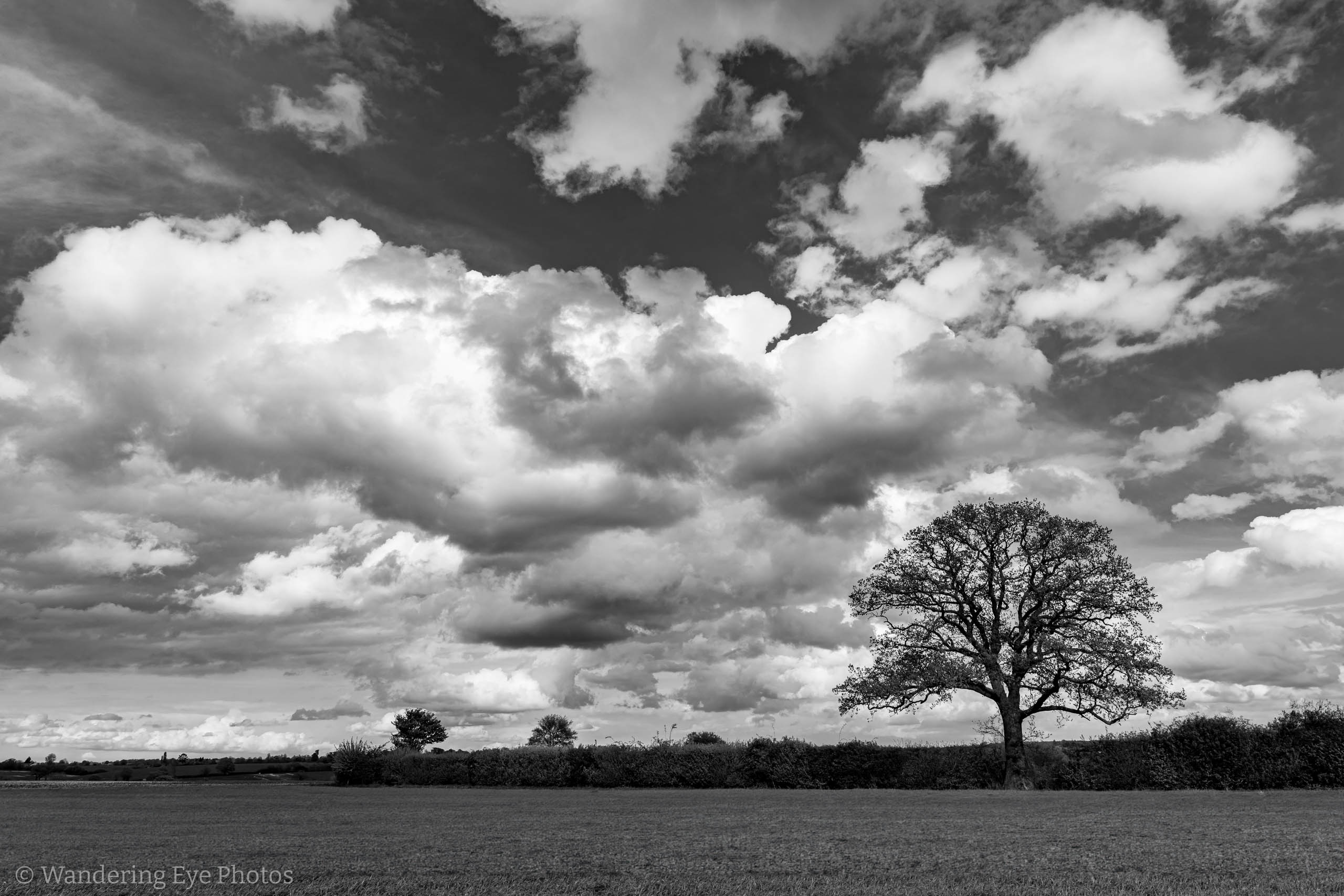 04.26 15.10.43   DSC01289 Edit